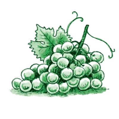 Lavori del frutteto di settembre