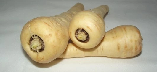 pastinaca verdura la pastinaca pronta da cucinare