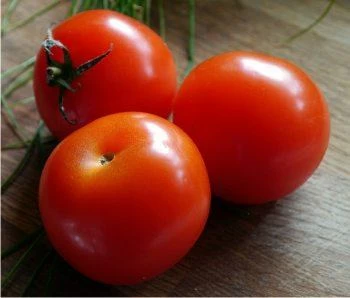 pomodori frutti di pomodoro