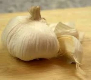 aglio aglio a spicchi