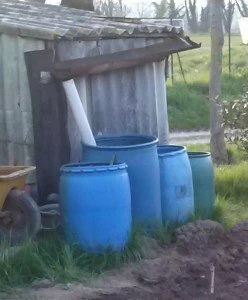 bidoni per l'acqua