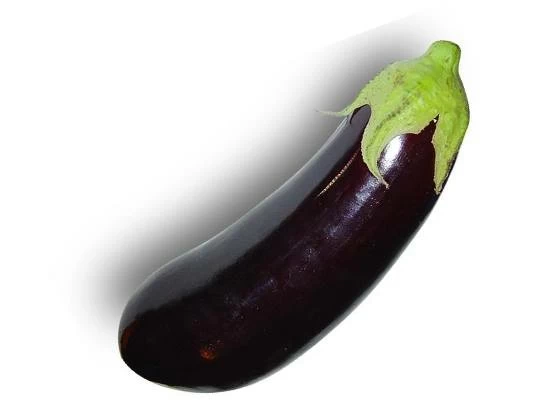 melanzana allungata viola la melanzana