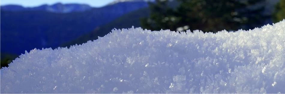 neve bianca