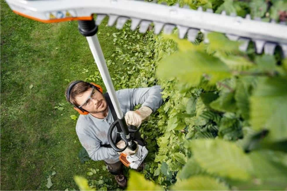 siepe superiore con asta telescopica