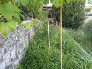 orto naturale di giorgio avanzo