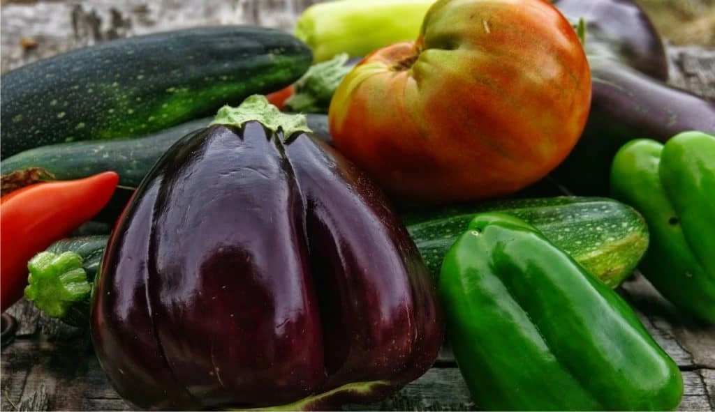 verdure raccolte nell'orto famigliare