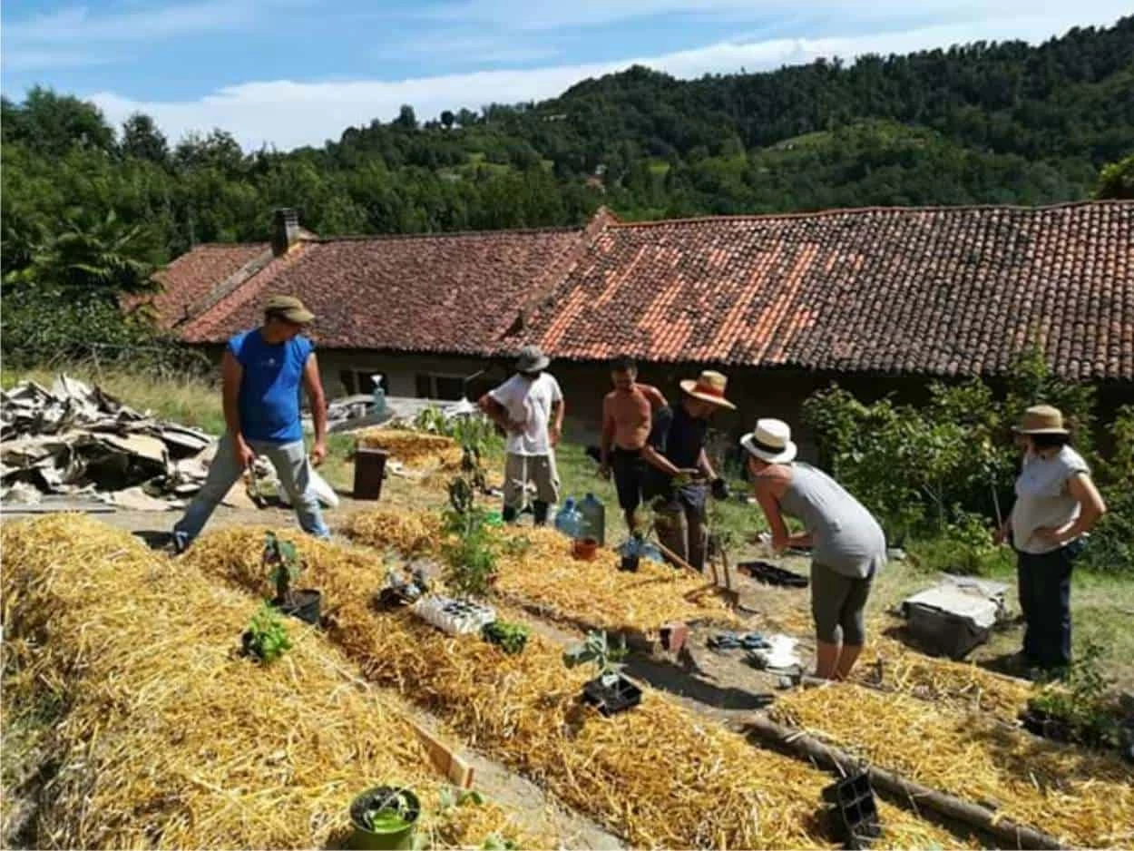 coltivare in permacultura corso di permacultura