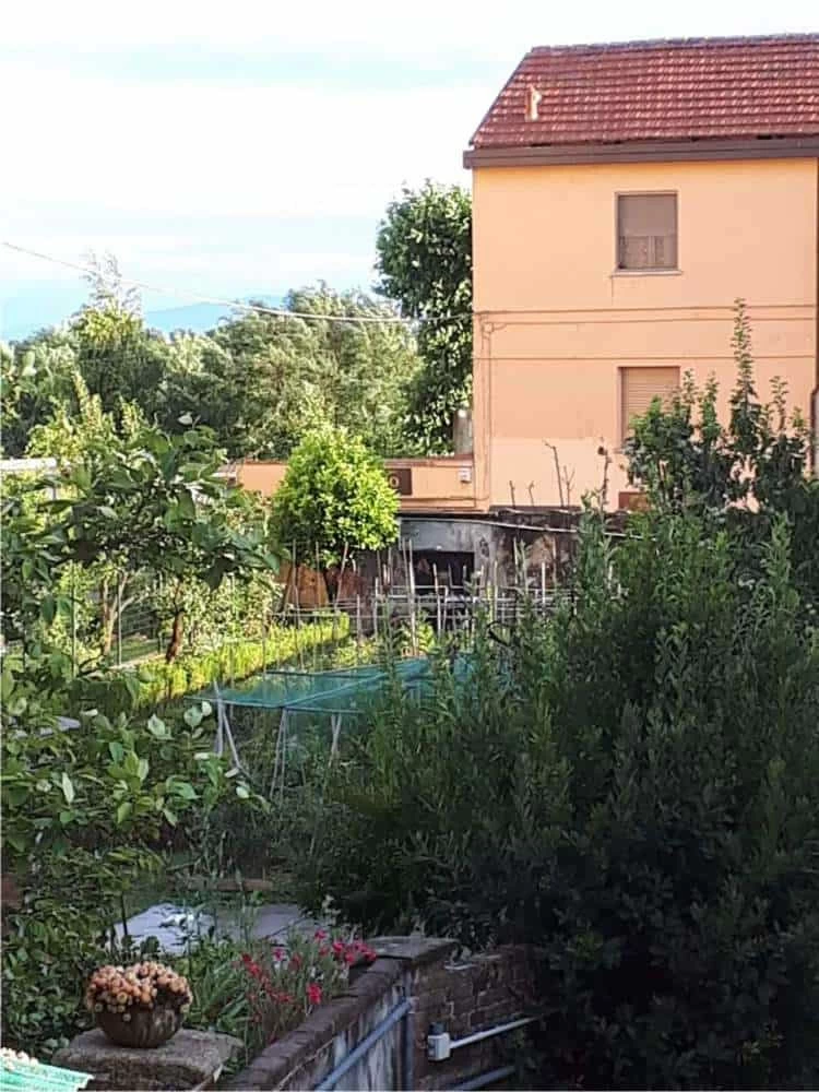 orto giardino in permacultura orto giardino in permacultura