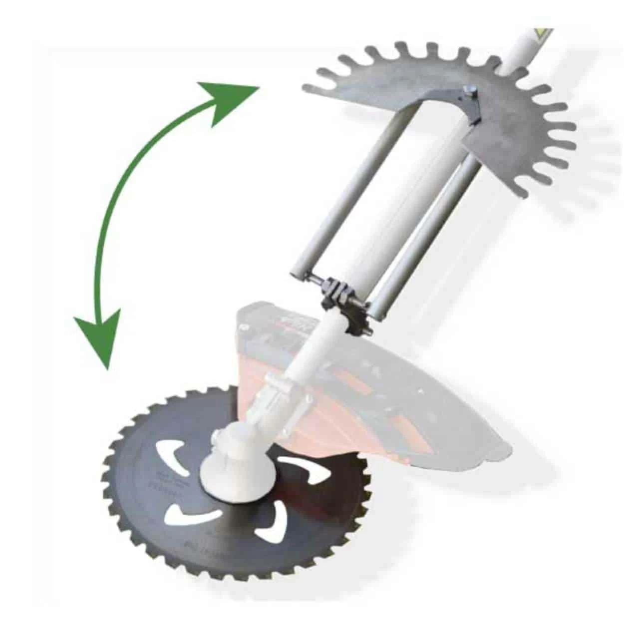 salvacorteccia