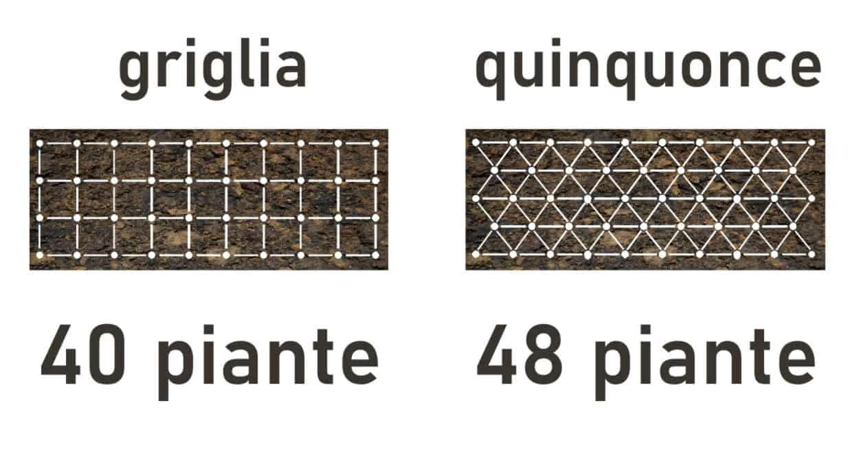 sesto d'impianto compatto