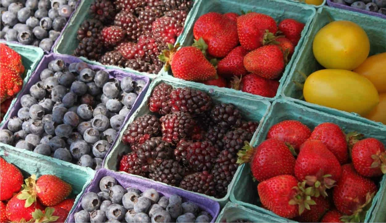 frutta certificata bio