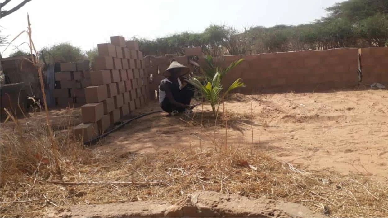 coltivazioni nel deserto