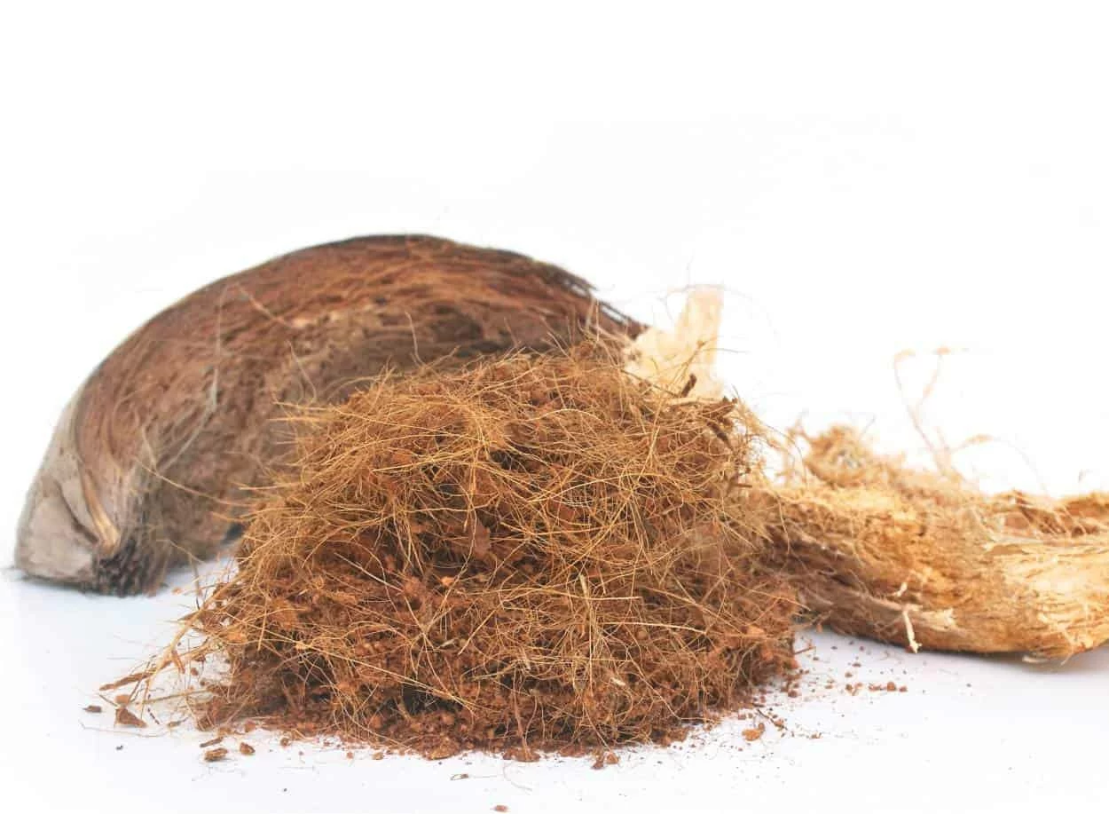 fibra di cocco cocco, fibre