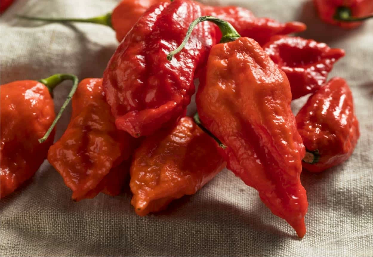 ghost peppers