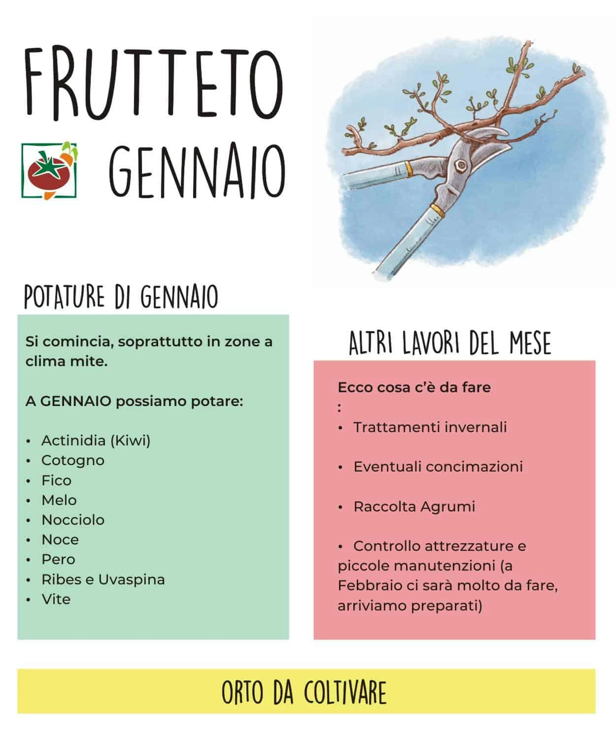 frutteto a gennaio