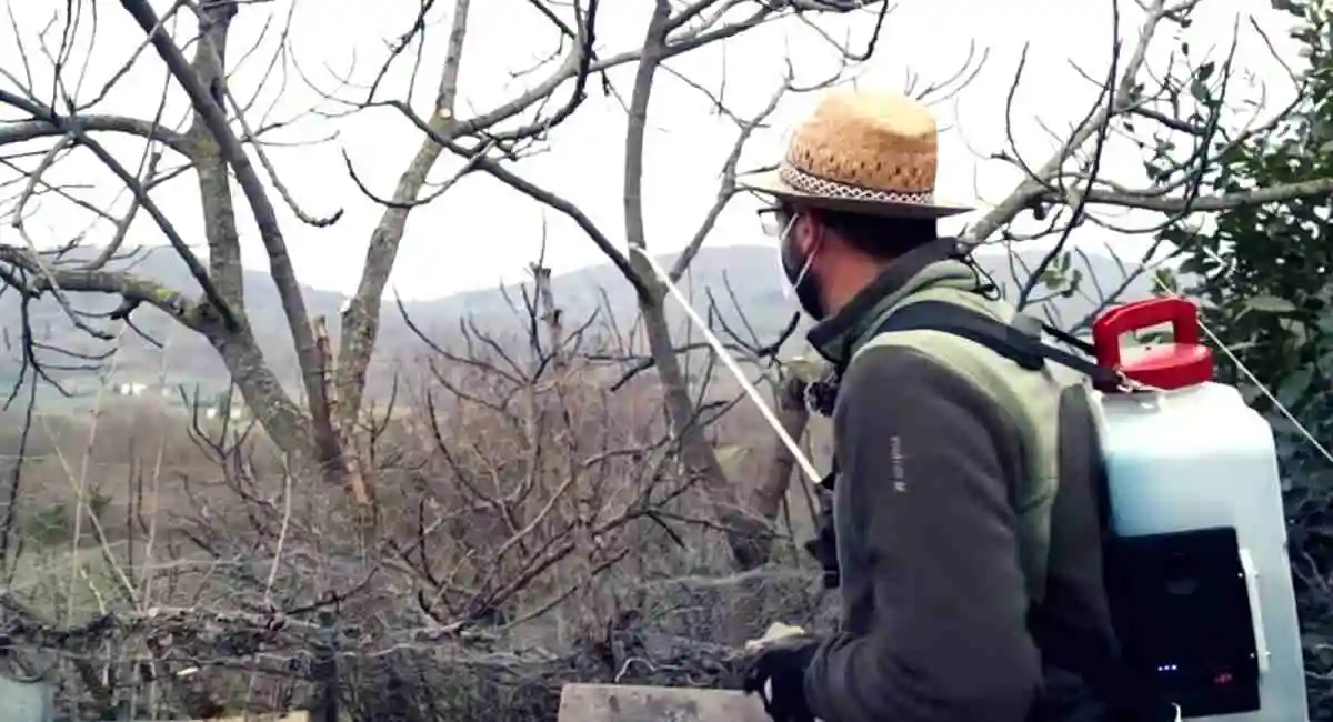pompa per trattamenti