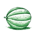 Piante cucurbitacee