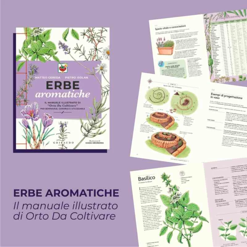 libro erbe aromatiche