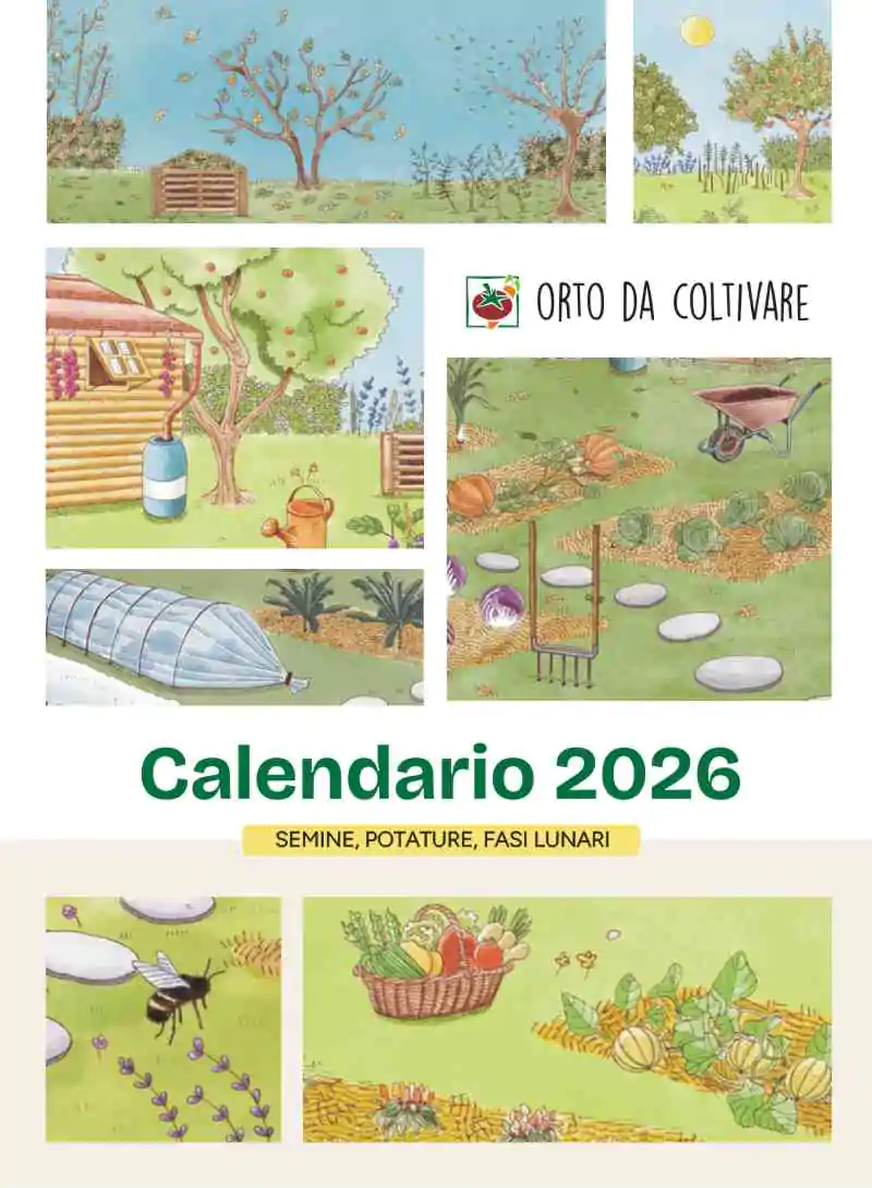 Calendario 2026